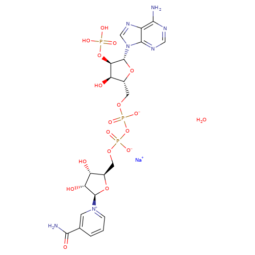 CAS:1184-16-3|B-nikotiinamiidadeniindinukleotiidfosfaatnaatriumsool