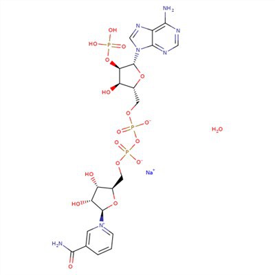 CAS:1184-16-3|B-nikotiinamiidadeniindinukleotiidfosfaatnaatriumsool