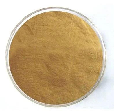CAS:2195390-17-9丨2-dicyclohexylphosphino-2-(N,N-dimethylamino)biphenyl(2′-amino-1,1′-biphenyl-2-yl) Palladium(II)