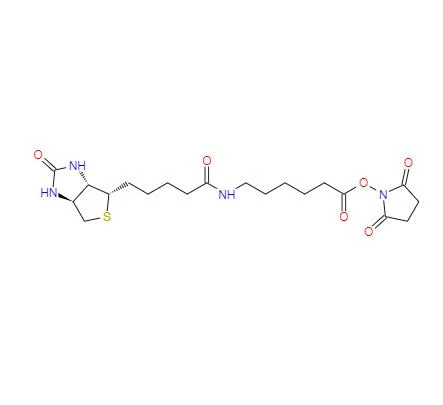 CAS: 72040-63-2丨suktsiinimidüül6-(biotiinamido)heksanoaat