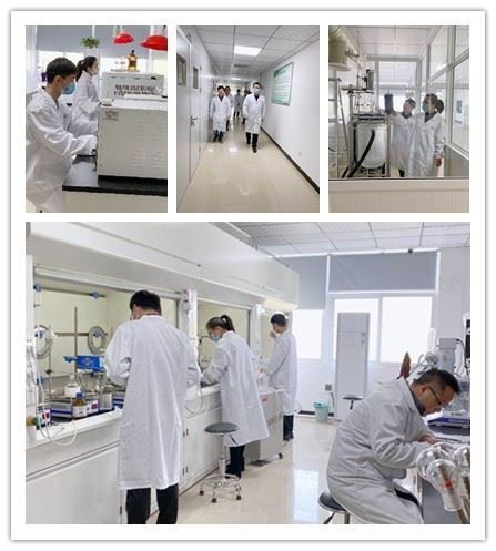 CAS:10276-85-4丨Benzyl Octanoate factory
